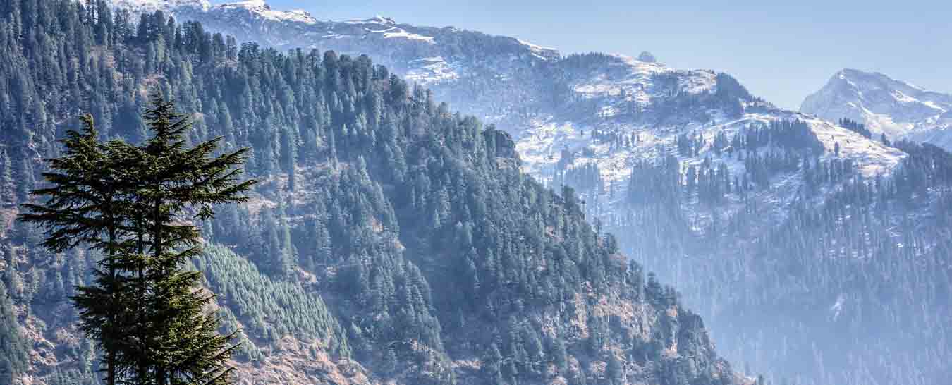 Kullu Manali tour packages from Jaipur