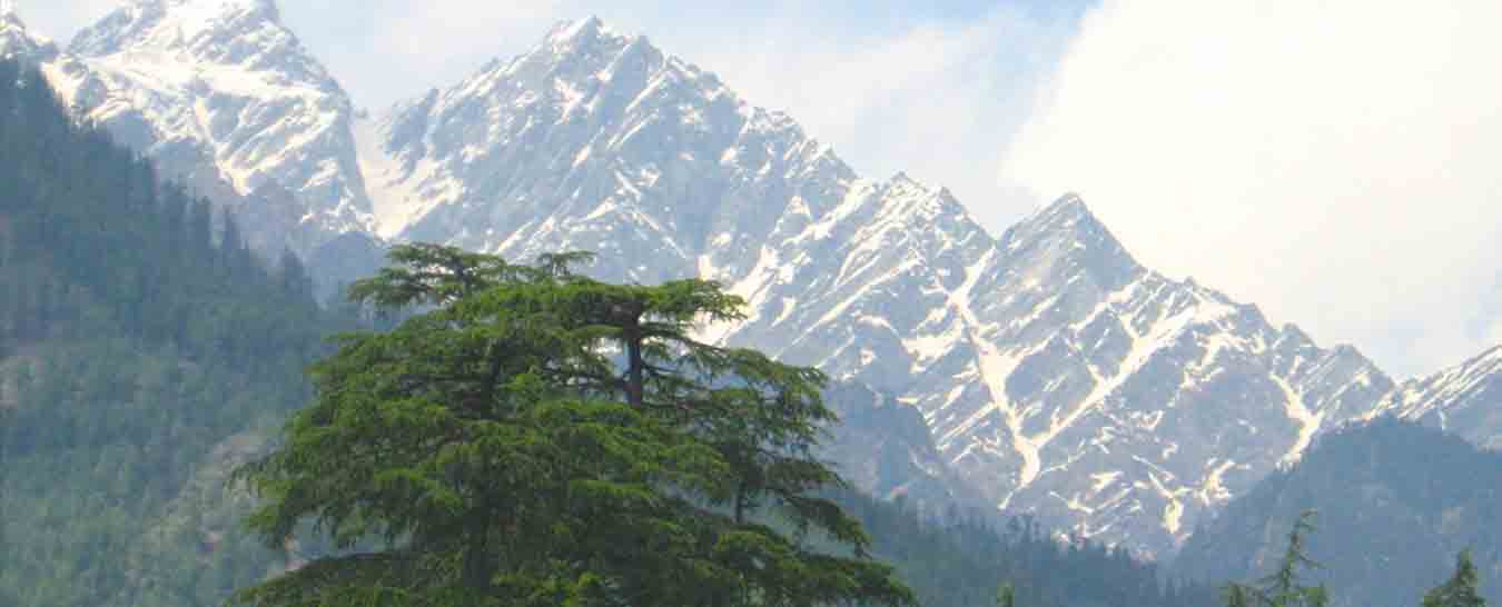 Kullu Manali tour packages from Jalandhar