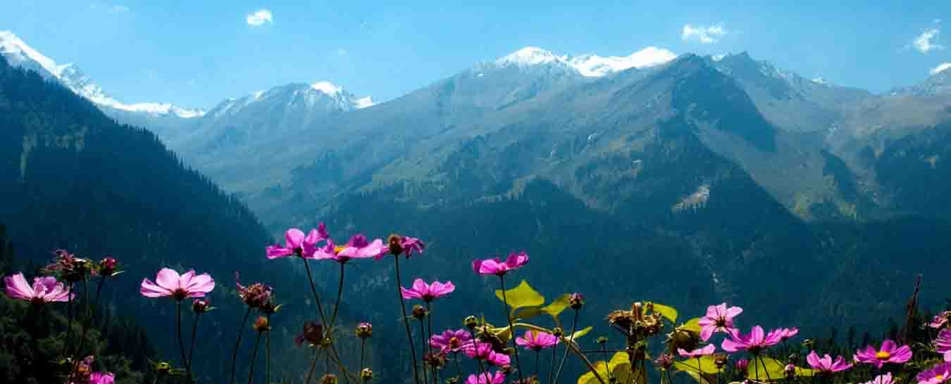 varanasi to manali tour package